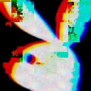 Meet your Posher, Shelsea